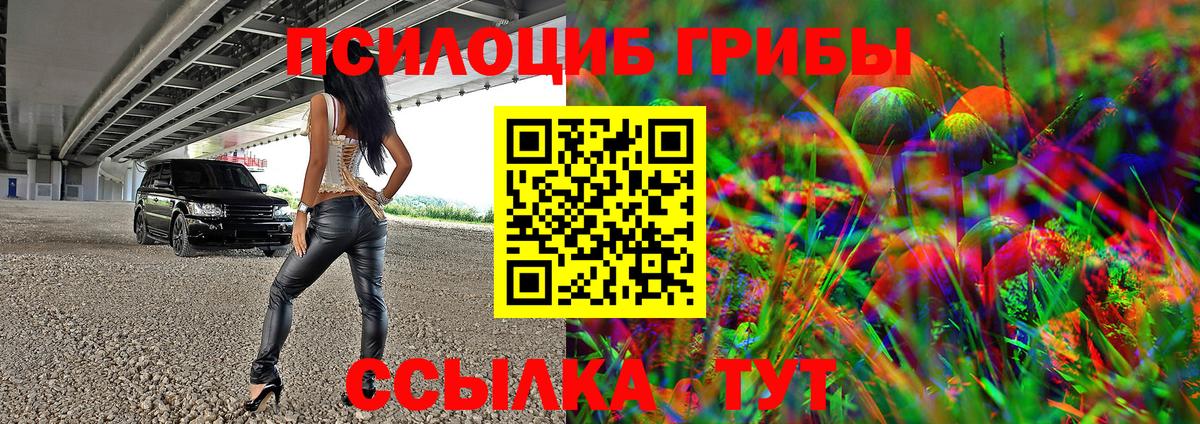 Галлюциногенные грибы Psilocybe Всеволожск