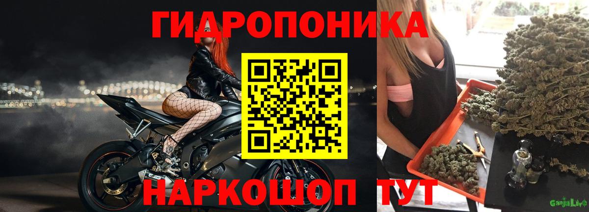 МАРИХУАНА конопля Всеволожск